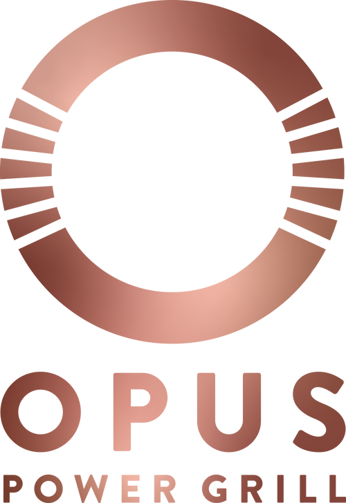 OPUS POWER GRILL
